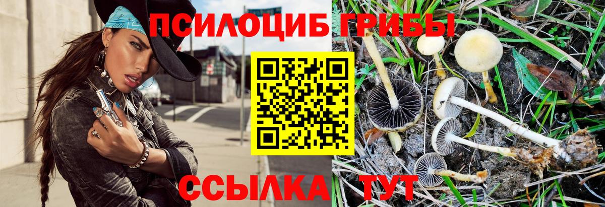 Псилоцибиновые грибы ЛСД Алейск