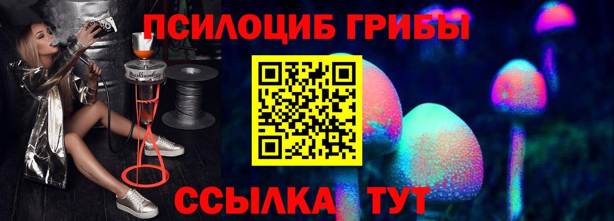 Алейск  Галлюциногенные грибы MAGIC MUSHROOMS  Вход с VPN  Галлюциногенные грибы Psilocybine cubensis 