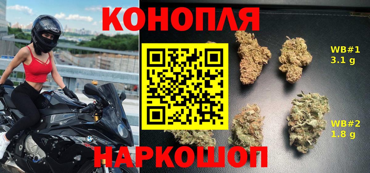 Каннабис ГИДРОПОН Алейск